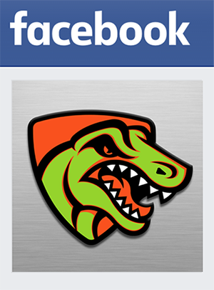 Facebook Logo outlined